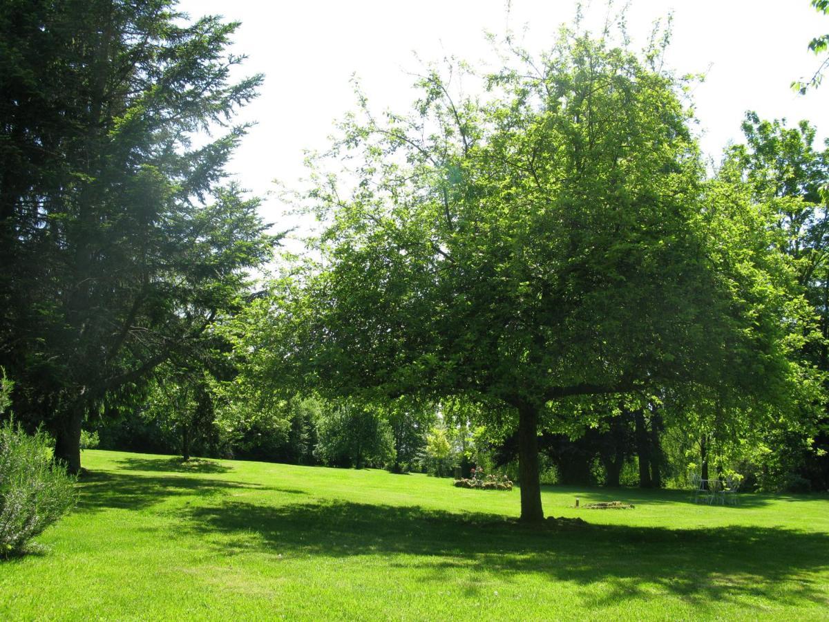 Gite Ligerie Saint-Martin-des-Pezerits Buitenkant foto