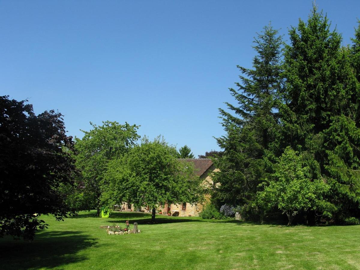 Gite Ligerie Saint-Martin-des-Pezerits Buitenkant foto