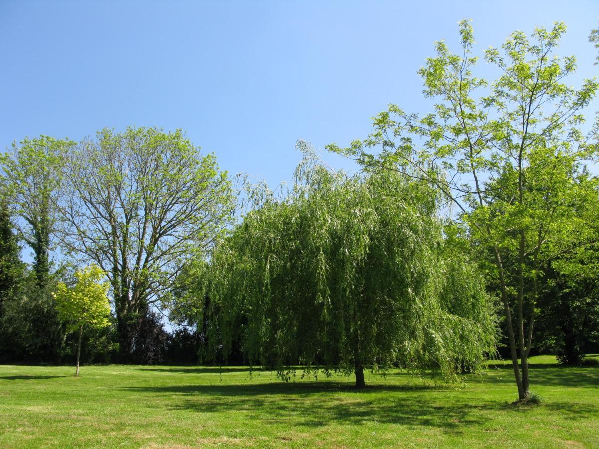 Gite Ligerie Saint-Martin-des-Pezerits Buitenkant foto