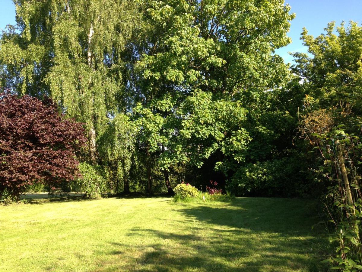 Gite Ligerie Saint-Martin-des-Pezerits Buitenkant foto